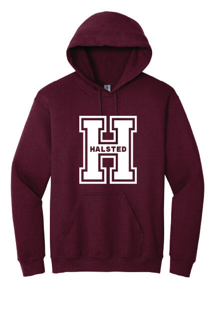 Hoodie (Youth)