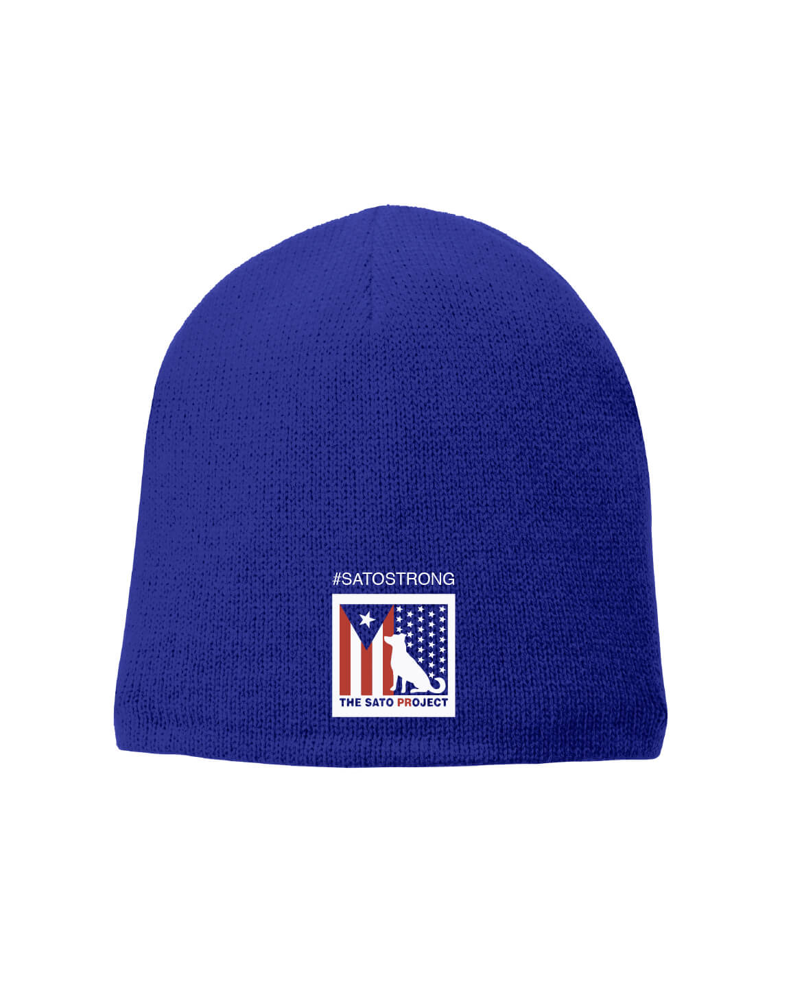 Fleece Lined Beanie blue