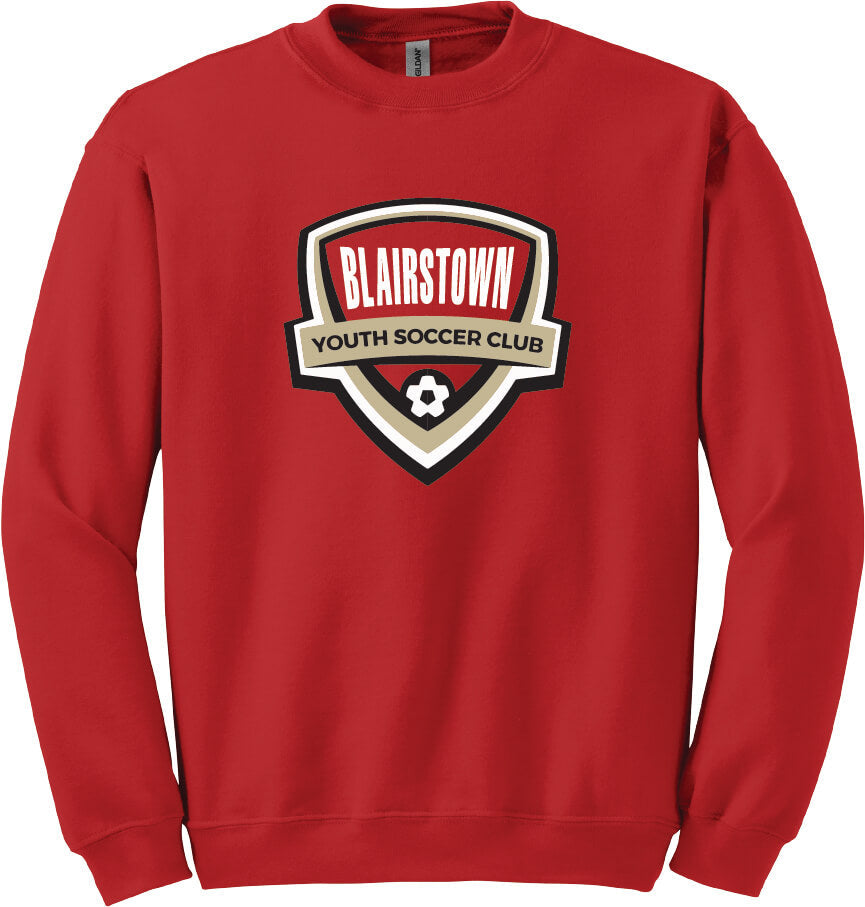 Crewneck Sweatshirt (Youth)