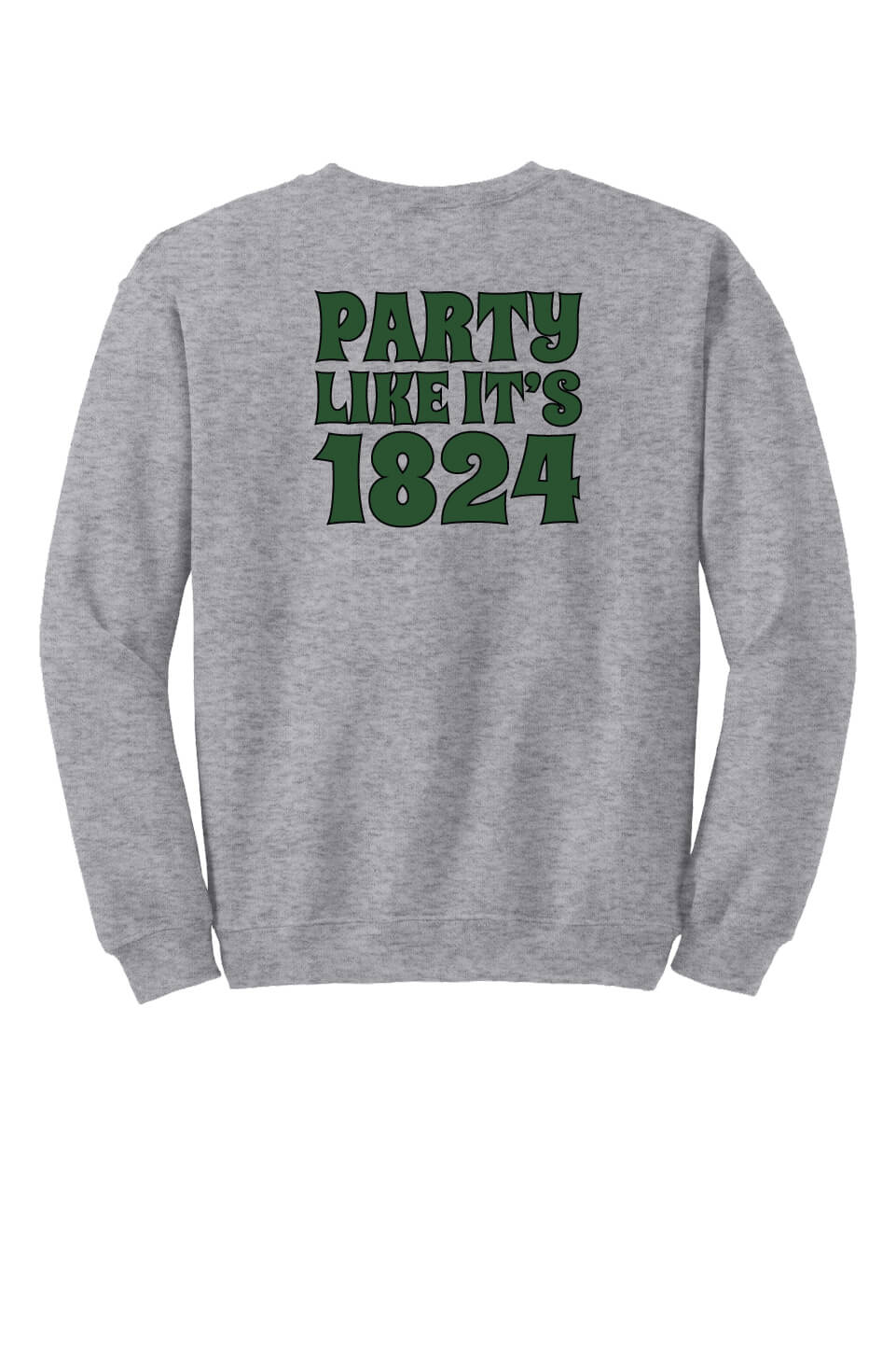 Crewneck Sweatshirt I (Youth) back gray