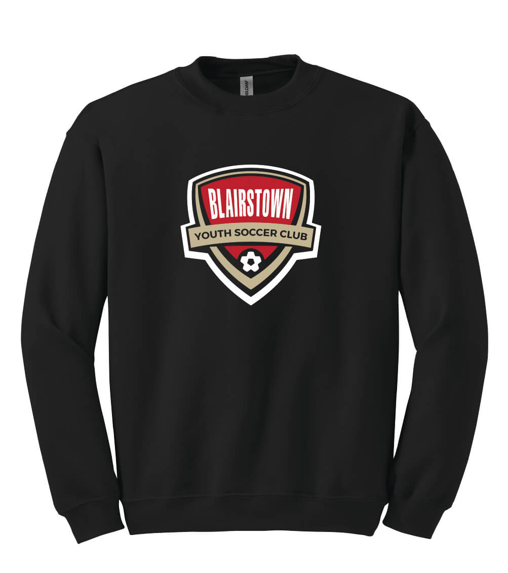 Crewneck Sweatshirt (Youth)