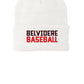 Belvidere Baseball Knit Cap