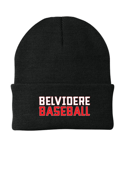 Belvidere Baseball Knit Cap