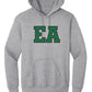 EA Hoodie (Youth)