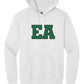 EA Hoodie (Youth)