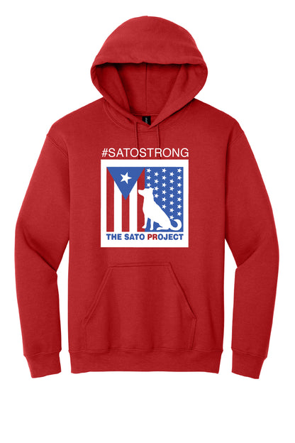 Gildan Hoodie