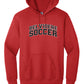 Belvidere Soccer Hoodie Sweatshirt