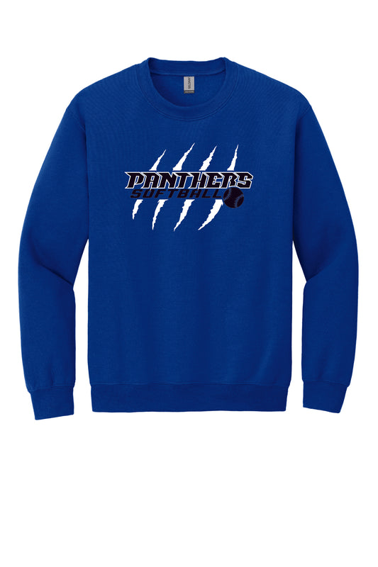 Panthers Crewneck Sweatshirt (Youth)