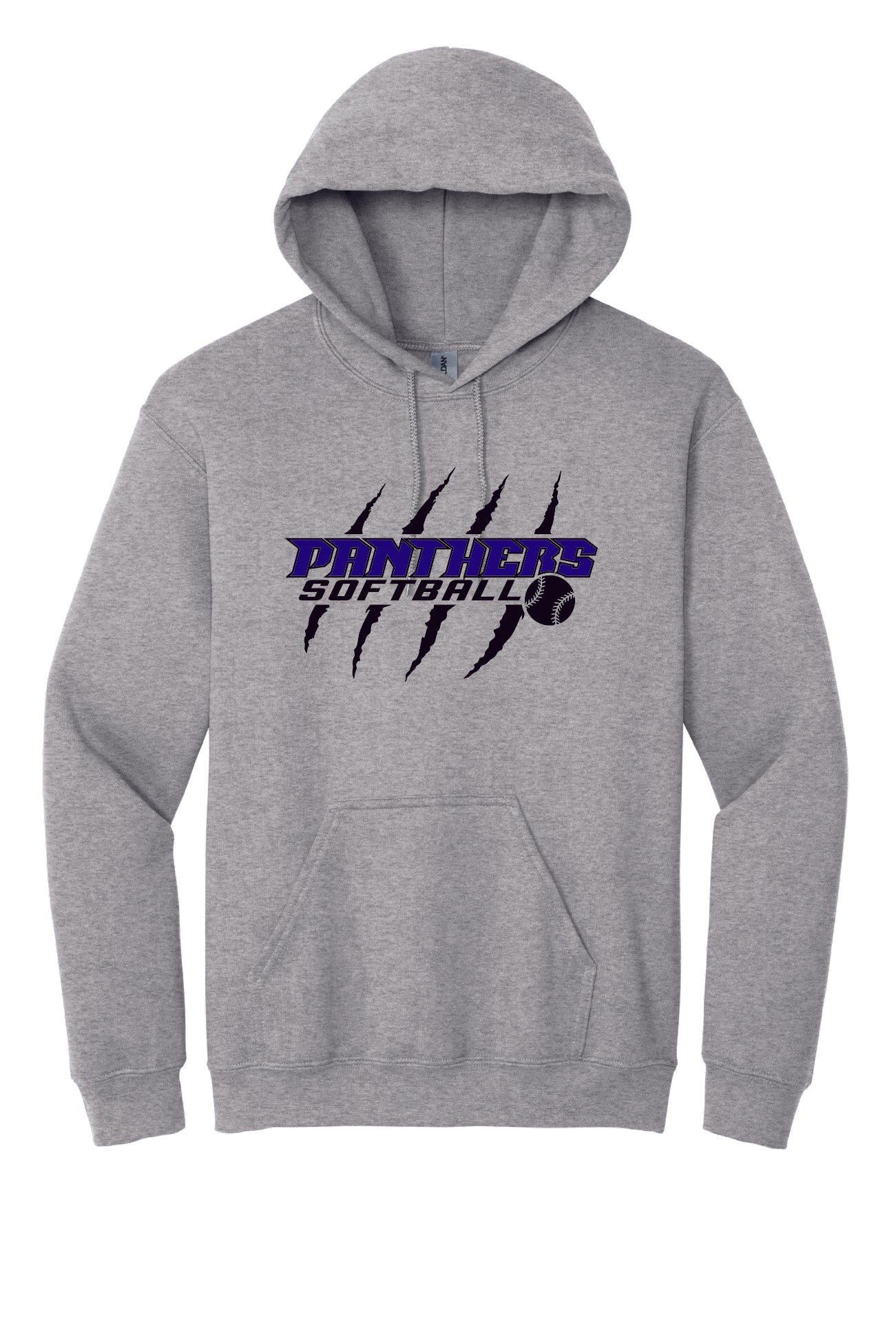 Panthers Hoodie (Youth)