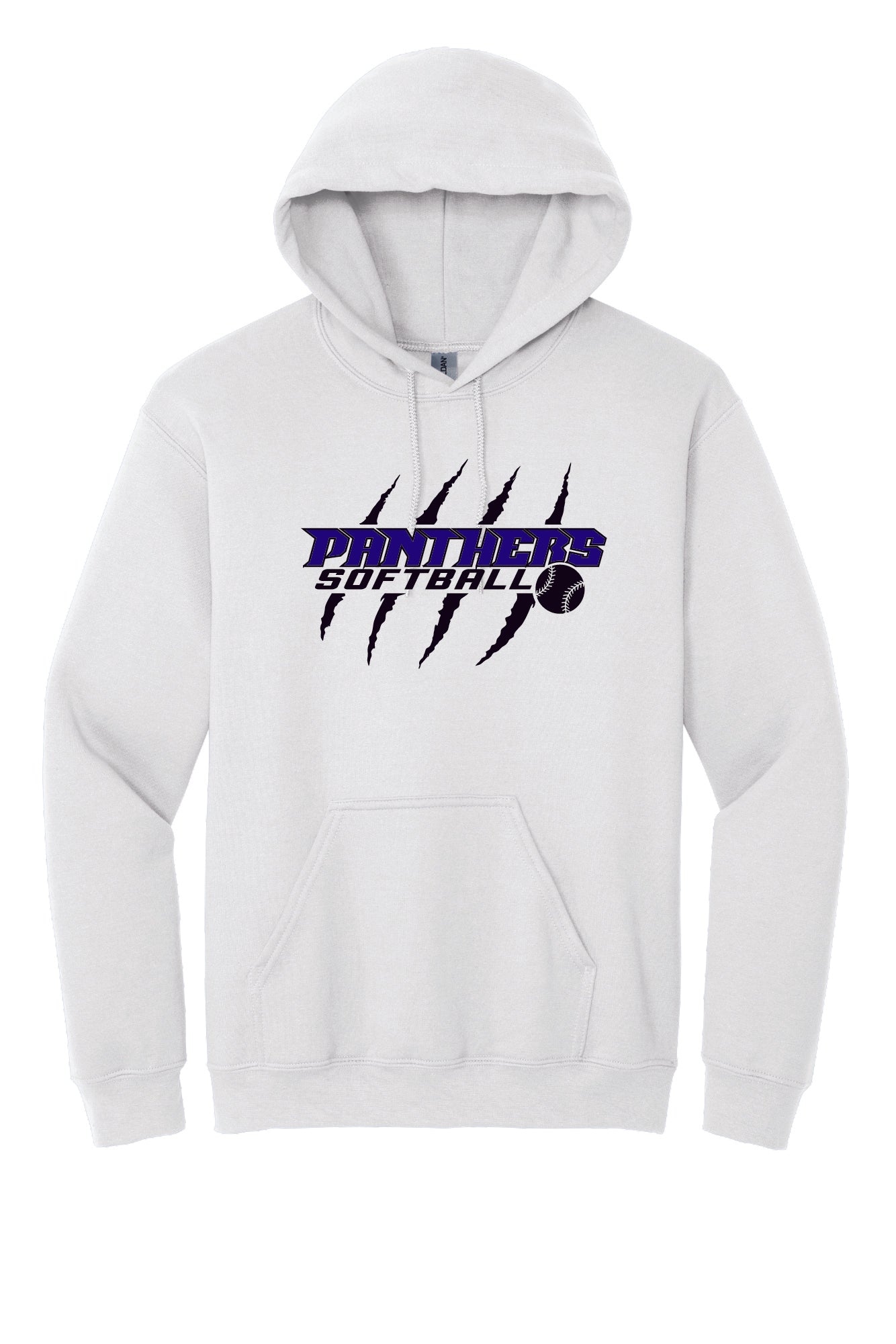 Panthers Hoodie (Youth)