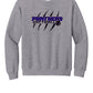 Panthers Crewneck Sweatshirt (Youth)