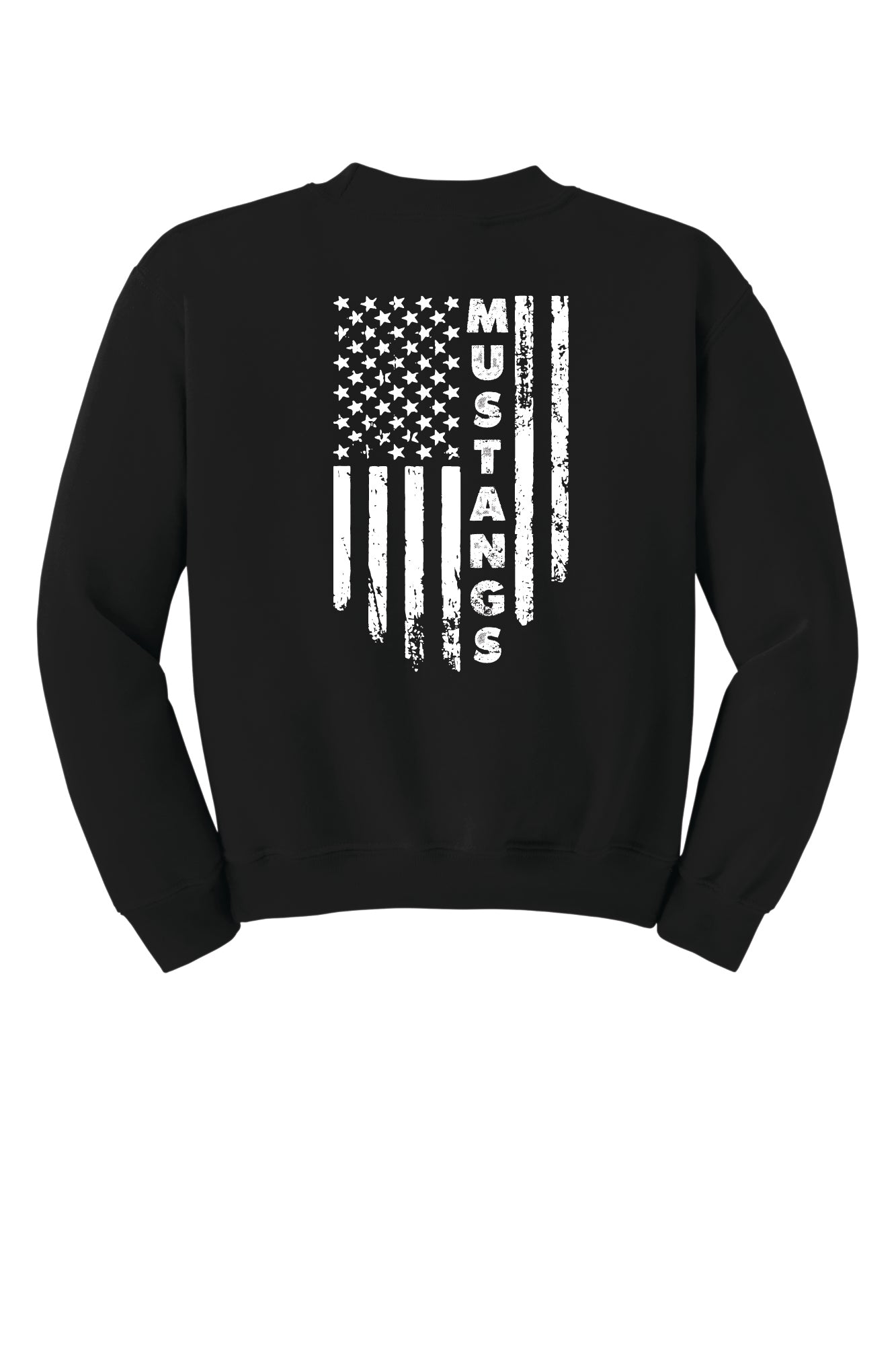 Frelinghuysen Flag Back Crewneck Sweatshirt