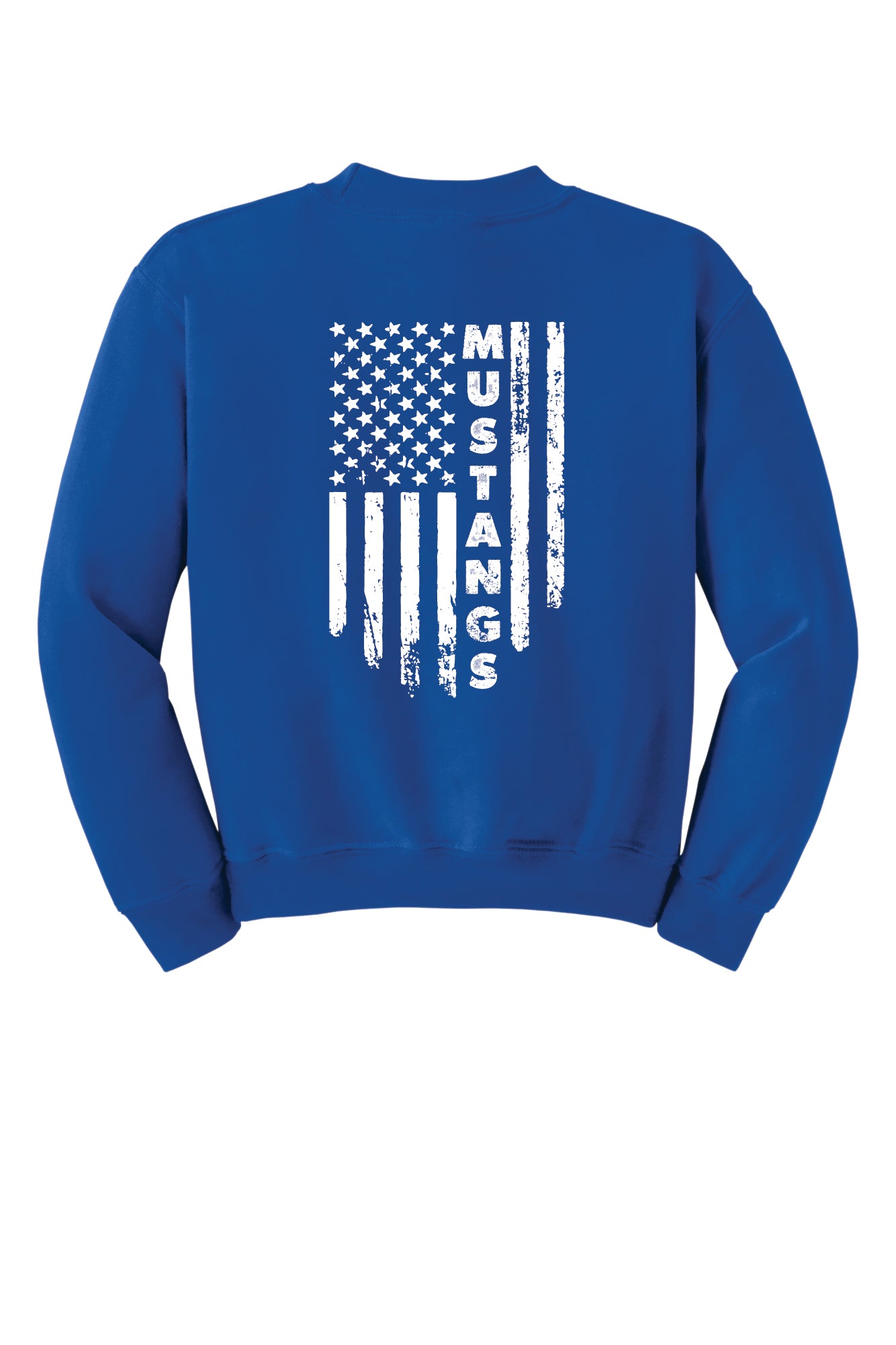 Frelinghuysen Flag Back Crewneck Sweatshirt