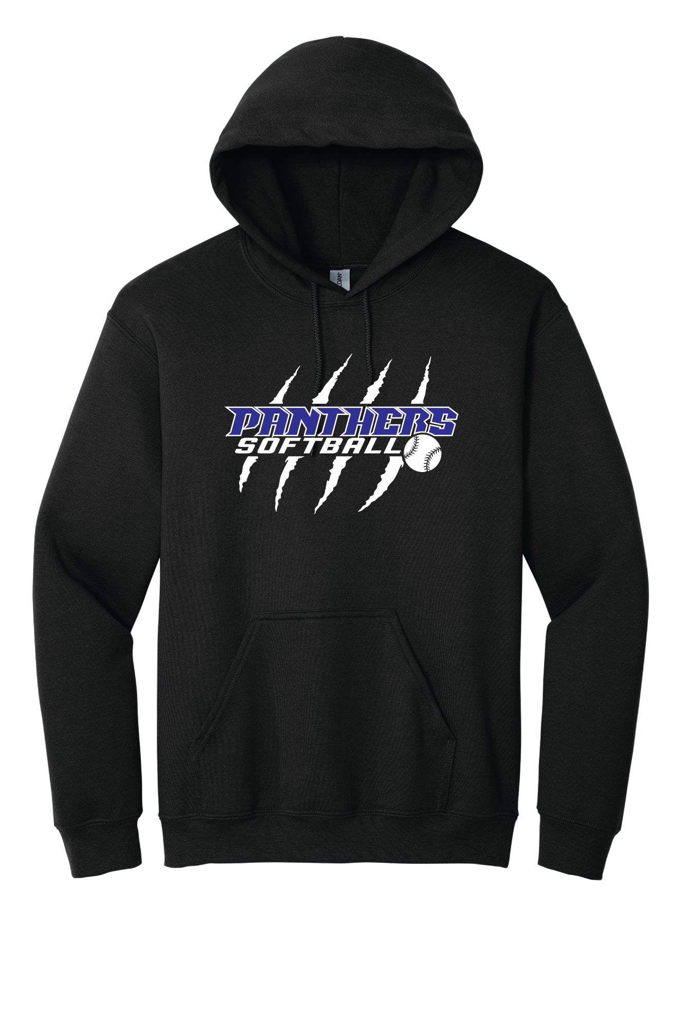 Panthers Hoodie (Youth)