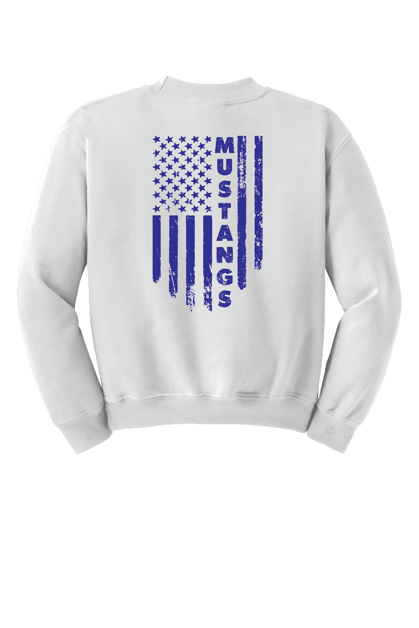 Frelinghuysen Flag Back Crewneck Sweatshirt