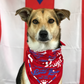 Exclusive Sato Project Bandana