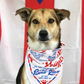 Exclusive Sato Project Bandana