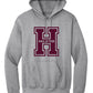 Hoodie (Youth) gray