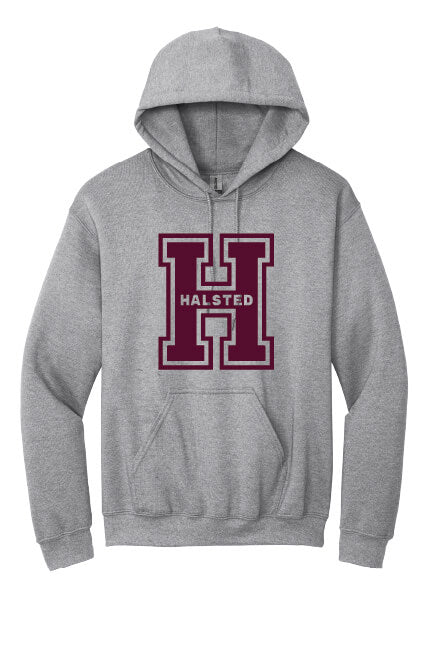 Hoodie (Youth) gray